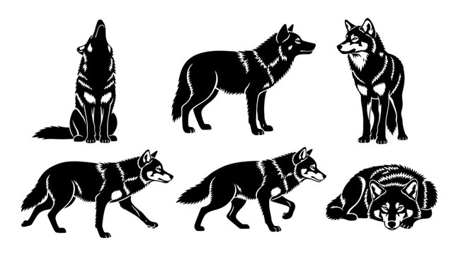 Set of Wolf Silhouettes in Various Poses, Black and White Vector Illustrations