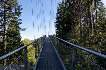 Fototapeta premium Wildline Suspension Bridge Over the Black Forest Valley in Bad Wildbad, Germany