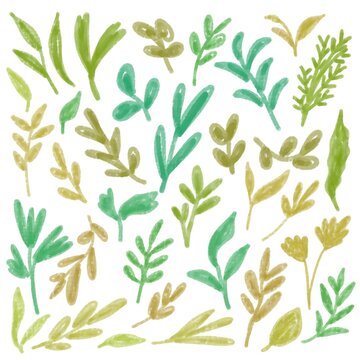Hand drawn illustration of branch leaves set collection in childish style isolated, marker textured.