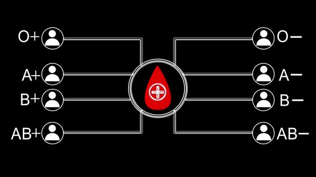 Medical chart animation with blood type diagram. Medical chart health compatibility visualization. Medical chart digital hospital graphic on black background.