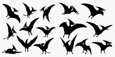 Collection of Pterodactylus silhouettes, prehistoric flying reptiles in various poses. © Akun