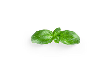 Obraz premium Basil leaf. Green basil leaves isolated on white background.
