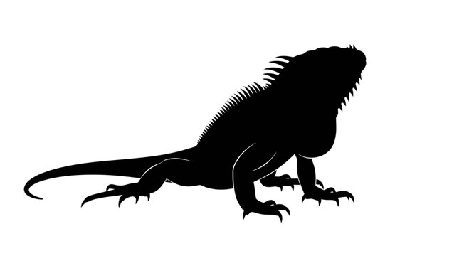 Black silhouette of an iguana lizard vector illustration
