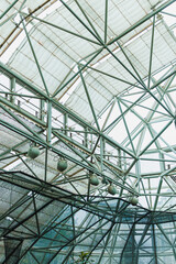 Fototapeta premium Glass structure with metal beams and natural light coming in at a greenhouse during the day with visible patterns and shadows