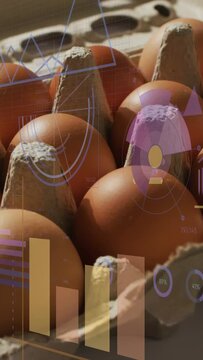 Vertical video: HUD appearing, animating charts across brown eggs, camera zooming, showing data