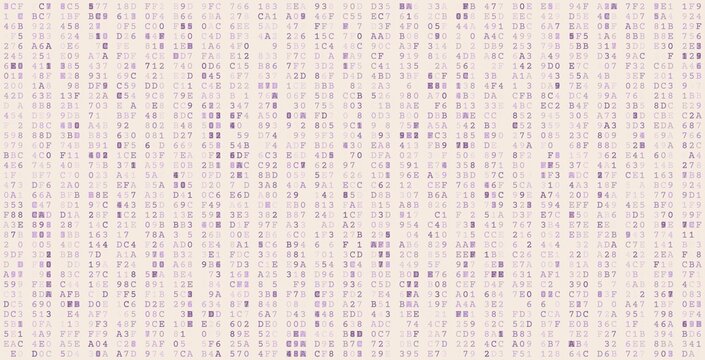 Systemic Bitstream Array - Precise Binary Triplets and Network Data Architecture