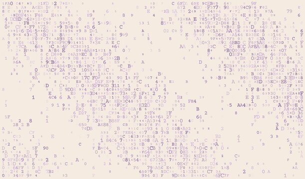 Unstructured Logic - A Decentralized Field of Binary Fragments and Digital Information Entropy
