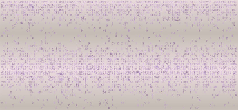 Linear Logic - A Structured Horizontal Distribution of Binary Fragments and System Protocols
