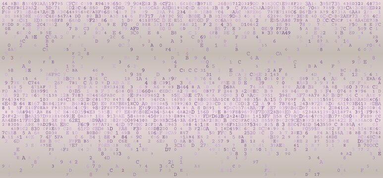 Linear Logic - A Structured Horizontal Distribution of Binary Fragments and System Protocols