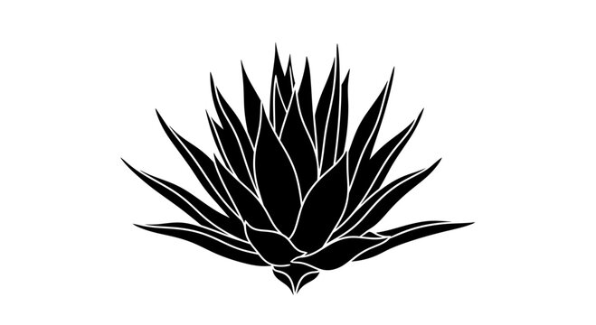 Black agave plant silhouette vector illustration isolated on white