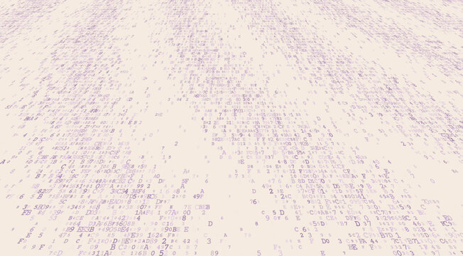 Unstructured Logic - A Decentralized Field of Binary Fragments and Digital Information Entropy. Perspective.