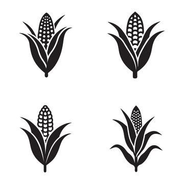 Black and white corn icons with leaves  corn silhouettes  maize illustrations
