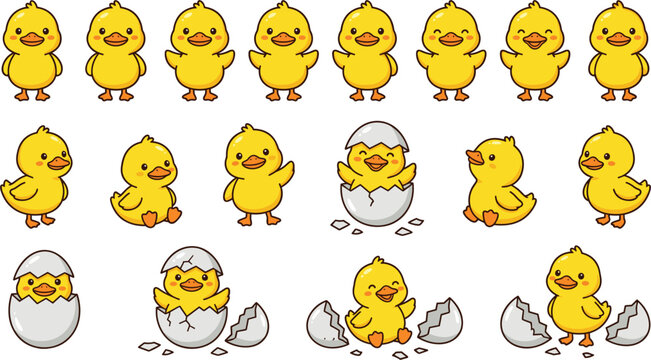 cute chick cartoon set, baby chicken hatching sequence, adorable farm bird vector illustration collection