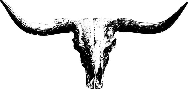 Longhorn cattle skull bone totem high contrast black and white ink art for rustic western poster and background design