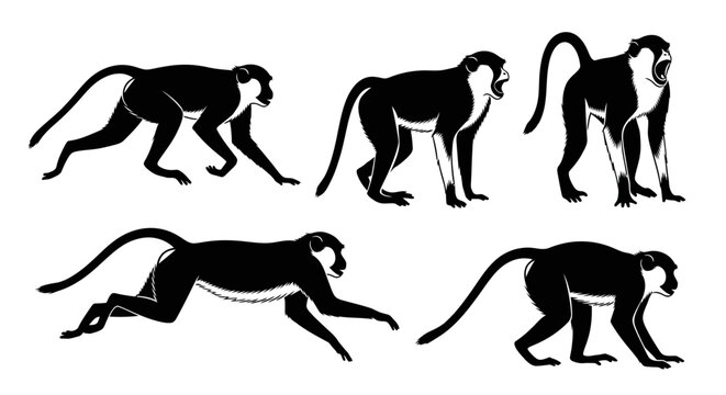Monkeys Silhouette Collection: Various Poses of Black and White Primates