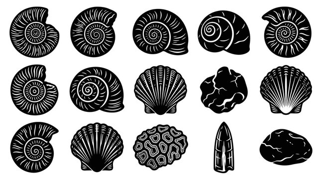 Black and White Fossil Collection: Seashells, Ammonites, Rocks, and Corals Vector Art