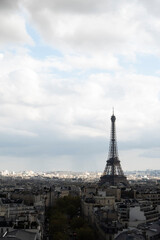 Fototapeta premium Eiffel Tower rising above Paris cityscape vertical format