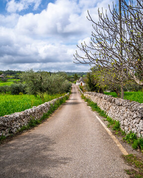 The Trulli house view in nature at Puglia District of Italy