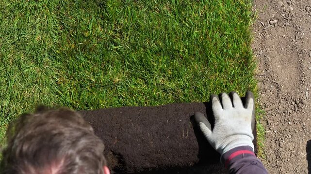 A worker laying the rolled turf. Gardening. Making a lawn from a roll. Green grass texture - well-groomed turf in the garden. View of the garden from above.