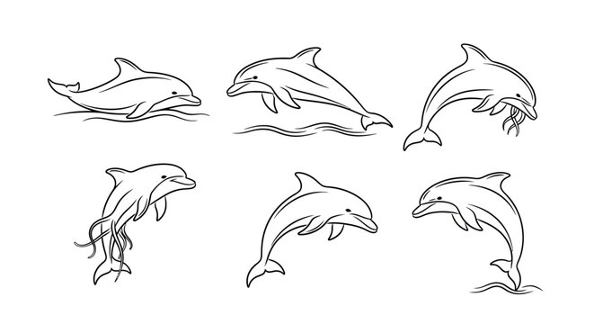 Dolphin character set, jumping and swimming, playful marine wildlife