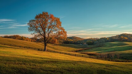 Obraz premium Scenic autumnal landscape with a solitary tree in a rolling pasture