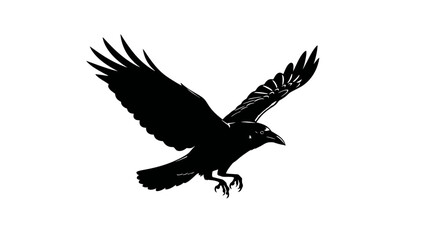 Fototapeta premium Black Crow or Raven Vector Illustration in Flight with Wings Spread