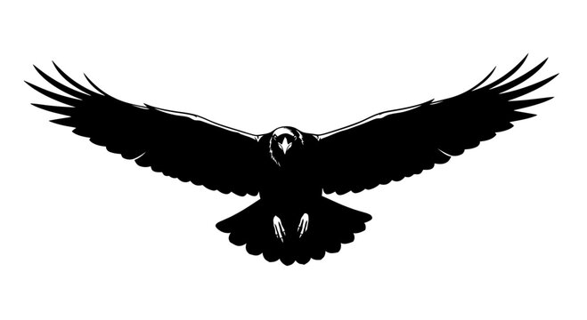 Black raven silhouette in flight vector illustration