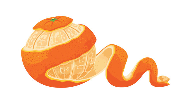Realistic illustration of a fresh orange shows the fruit partially peeled with a long, continuous spiral of zest trailing off to the side.