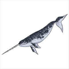 Illustration of Narwhal. Unicorn of the sea. Realistic, colorful, hand-drawn, vector illustration. Picturesque. Unique detailed stylization. Education. Print on sketchbooks, stickers, postcards, cards © anxiety rabbit