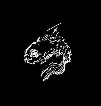 A high-contrast, hand-drawn illustration of a skeletal monster fish. This edgy, grunge-style graphic features aggressive lines and sharp fins on a solid black background, ideal for streetwear branding