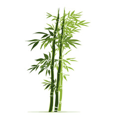 Obraz premium Bamboo plant with green leaves and stems.