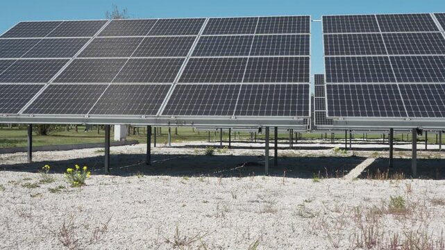 Bifacial PV modules installed on metal racking above white gravel to maximize albedo effect. Professional double-sided solar panel system designed for high energy yield and power generation.