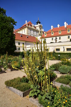 Herb garden Lu&Tiree Chmelar Valtice Mikulov. Ornamental herb beds in the chateau gardens