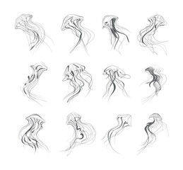 Obraz premium Set of Minimalist Black and White Jellyfish Illustrations with Elegant Flowing Tentacles and Artistic Lines