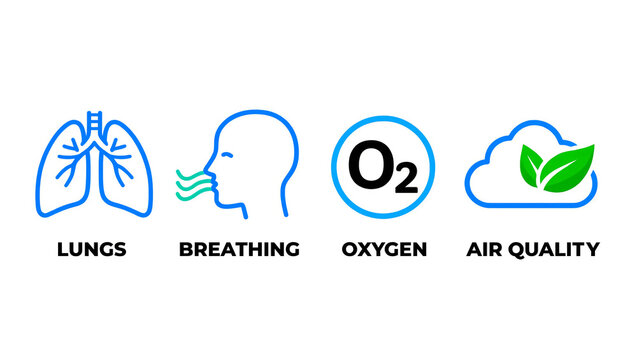 Modern linear vector icons illustrating essential elements of respiratory health human lungs, breathing process, oxygen, and clean air quality