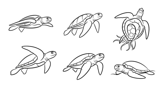 Set of Hand-Drawn Sea Turtles in Various Swimming Poses