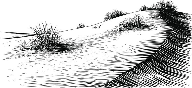 Engraved sand dune landscape with sparse grass and birds flying in sky.