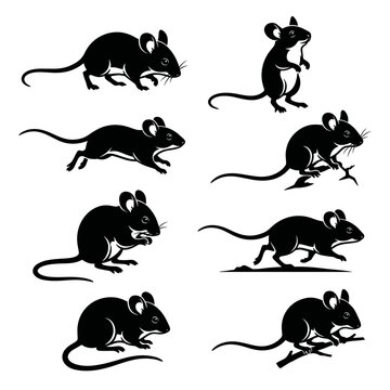 Black and white vector silhouette set of cactus mouse or Peromyscus eremicus