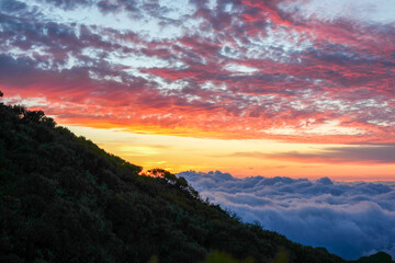 Fototapeta premium Sunset in Madeira where golden light meets the Atlantic and every moment feels like magic — nature, peace, and unforgettable views
