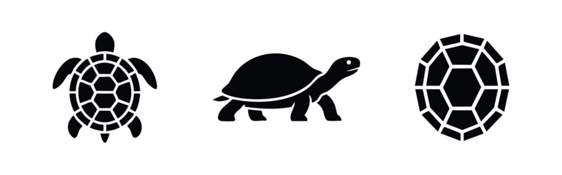 Set of minimalist black turtle icons including sea turtle top view, walking tortoise profile, and geometric shell pattern on a white background.