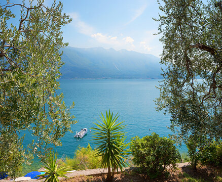 view to lake garda with motor rubber boat, framed by olive branches and palms, italy