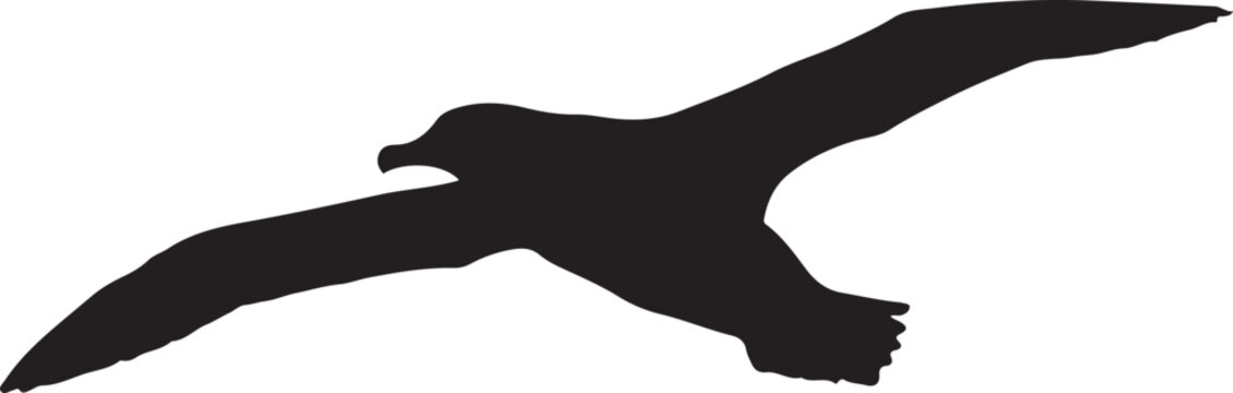 Wandering albatross icon. 
