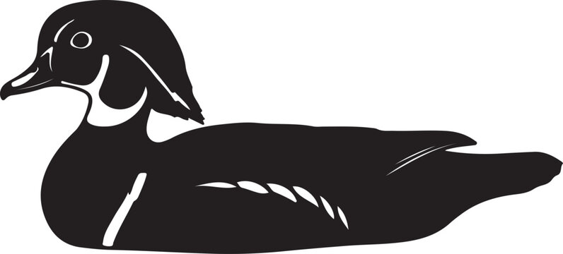  Wood duck icon on white background.