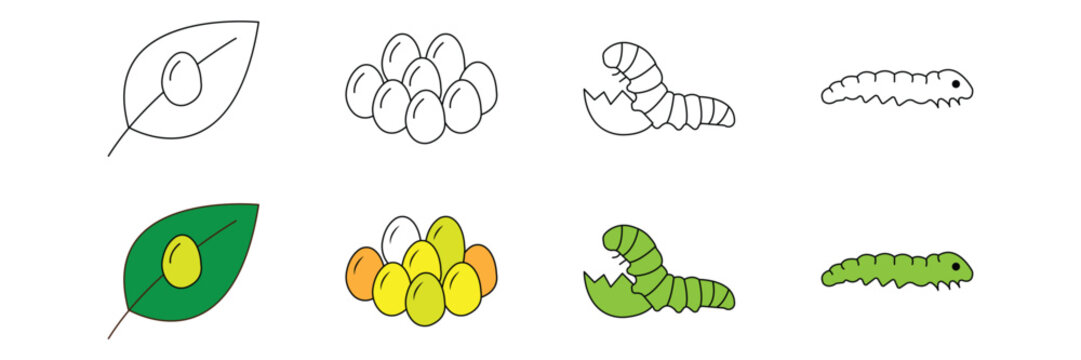 Butterfly life cycle icon set featuring egg on leaf cluster of eggs hatching larva and crawling green caterpillar vector illustration.