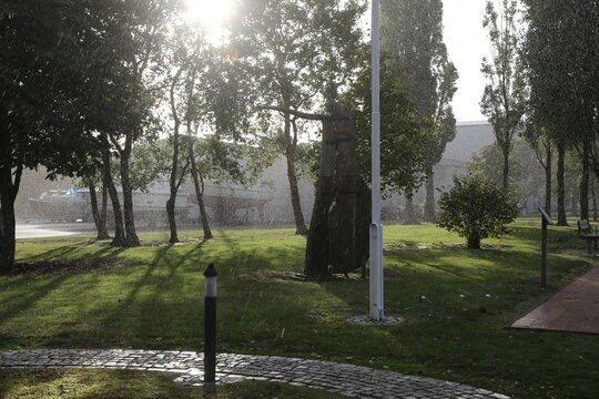 blick in einem Park im Sonnen gegenlicht