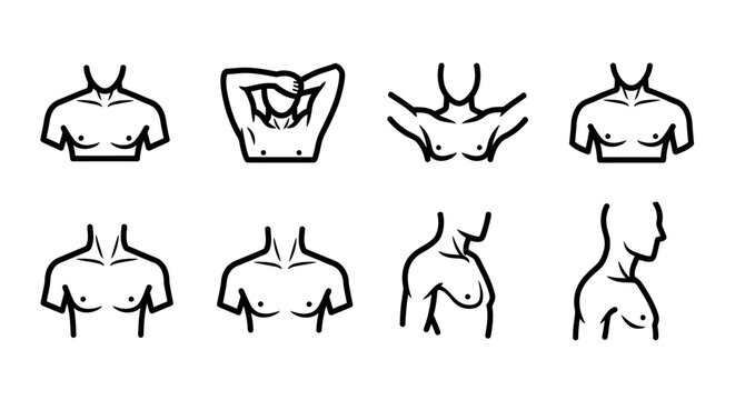 Variety of female torso illustrations.