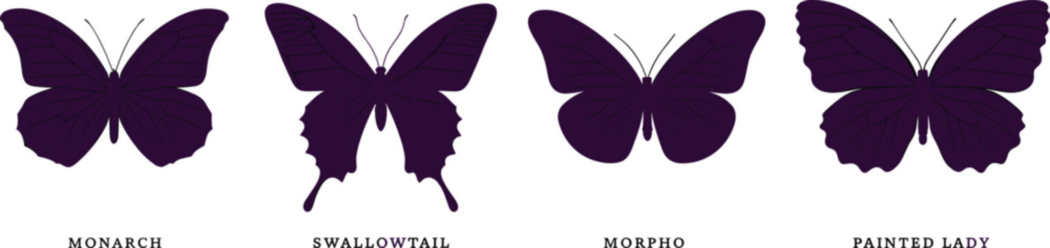 Collection of four distinct butterfly species silhouettes including monarch and morpho