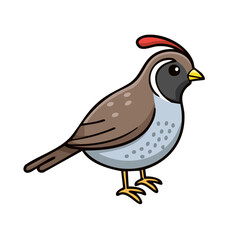 Fototapeta premium Cartoon quail bird with red crest standing on white background