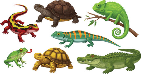 Fototapeta premium Reptiles and amphibians collection with lizard, turtle, chameleon, frog and crocodile, wildlife animal cartoon vector illustration set