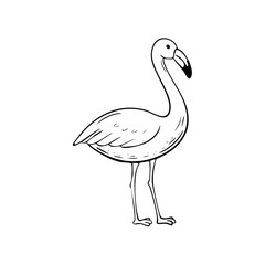 Obraz premium Hand drawn line art illustration of a single flamingo bird standing gracefully on its thin legs in profile view